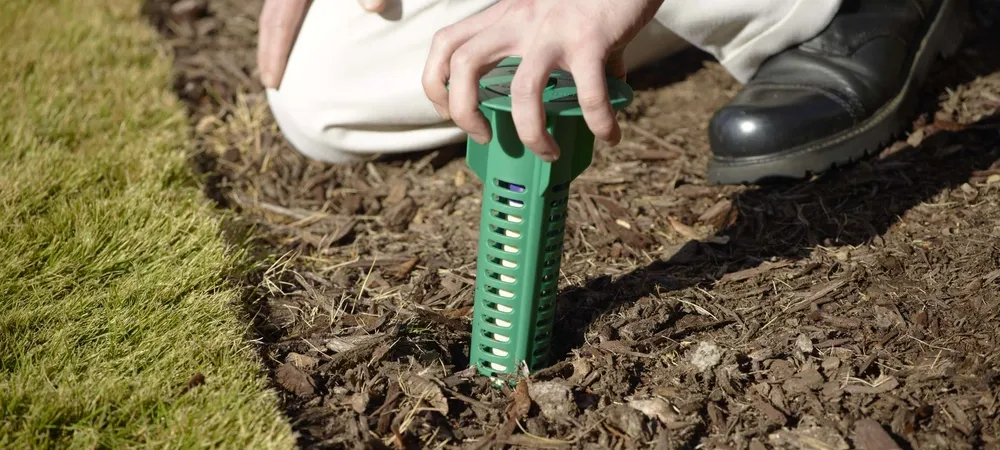 termite bait station being put in the ground