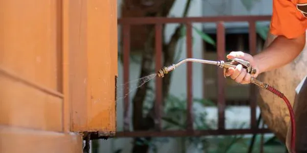 pest control technician spraying house